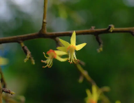 二十四节气之春分的天文与时间意义