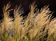 元旦至，别说“元旦快乐”了，切记这30句祝福语，温馨立春易懂