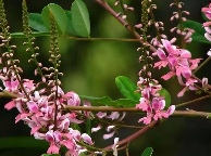 吉车汇（北京）信息科技有限公司长春分公司